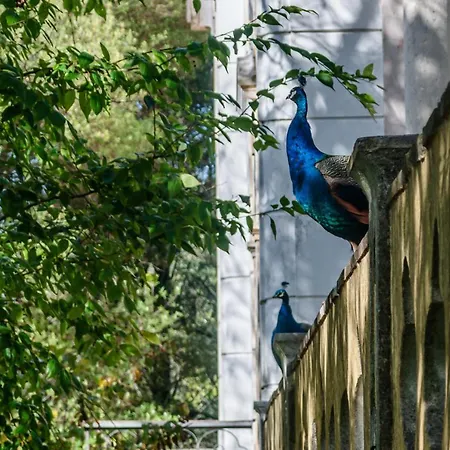 Apartmán Casas Da Tapada